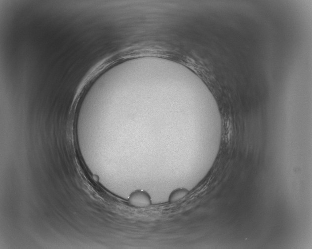 X0000082690004200702161736