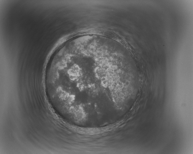 X0000082690006200702161736