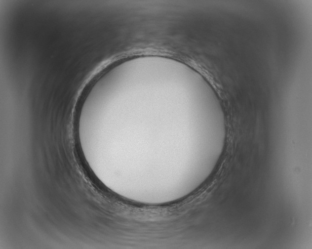 X0000082690008200702161736