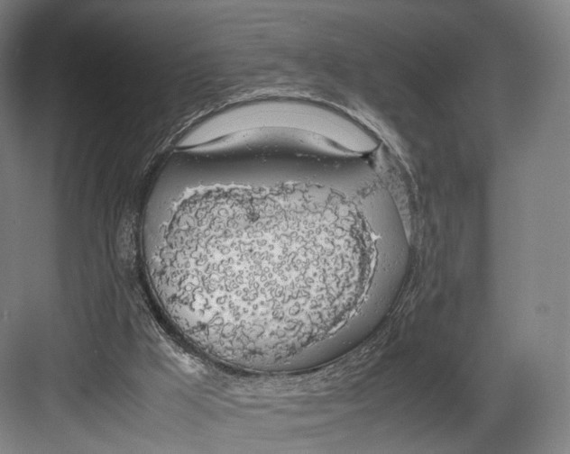 X0000082690009200702161736