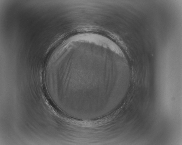 X0000082690010200702161736