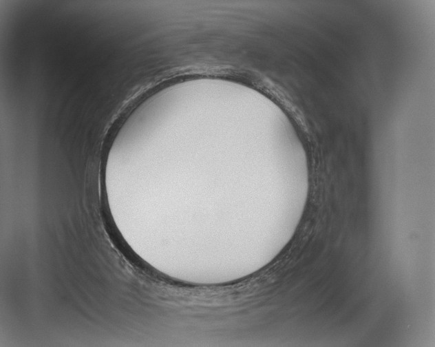 X0000082690011200702161736