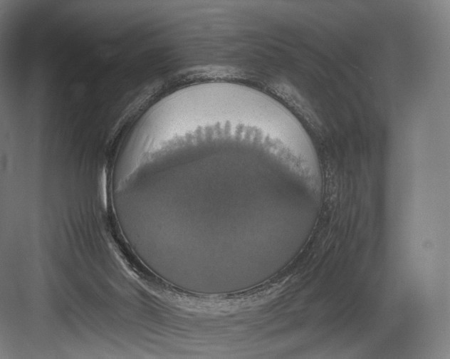 X0000082690014200702161736