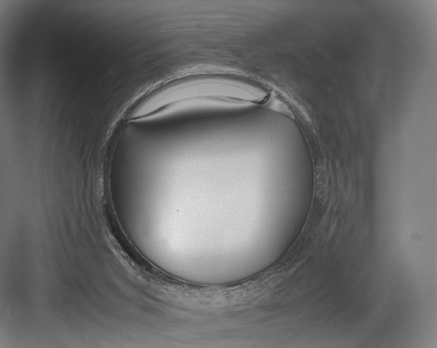 X0000082690015200702161736