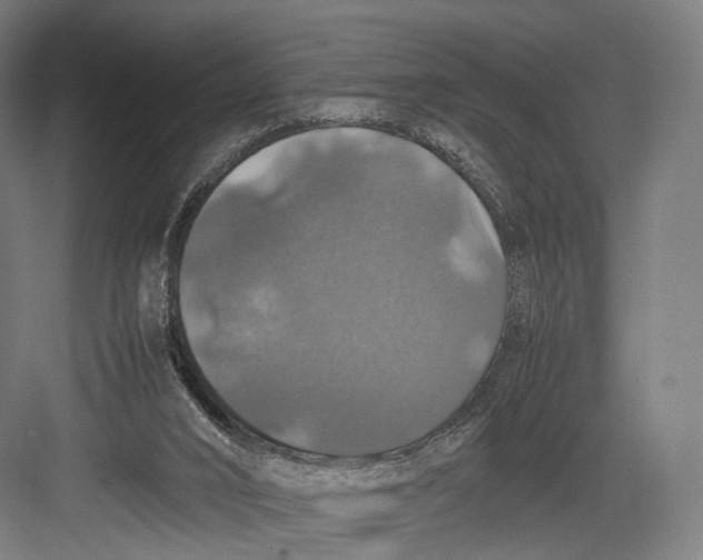 X0000082690016200702161736