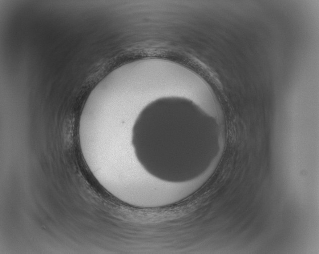 X0000082690018200702161736