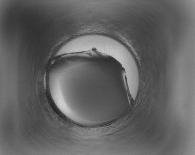 X0000082690019200702161736