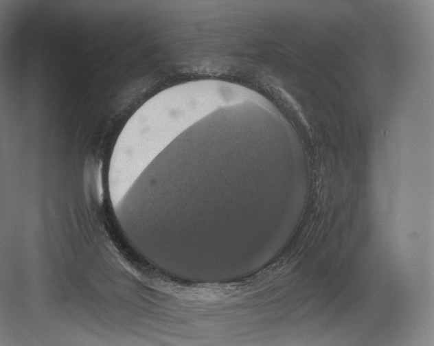 X0000082690020200702161736