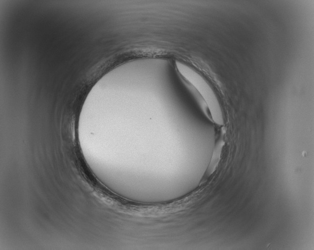 X0000082690021200702161736