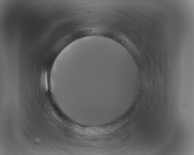 X0000082690022200702161736