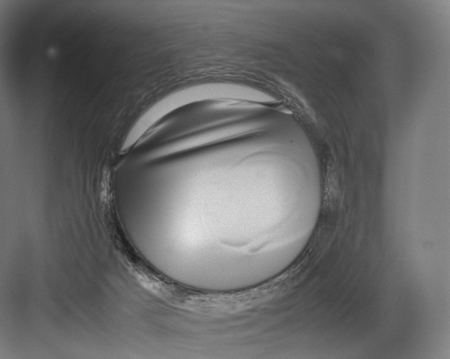 X0000082690025200702161735