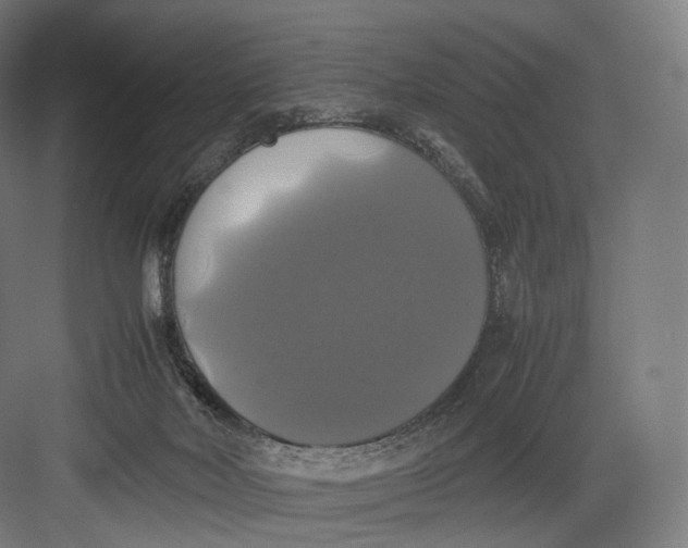 X0000082690026200702161735