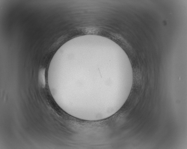 X0000082690028200702161735