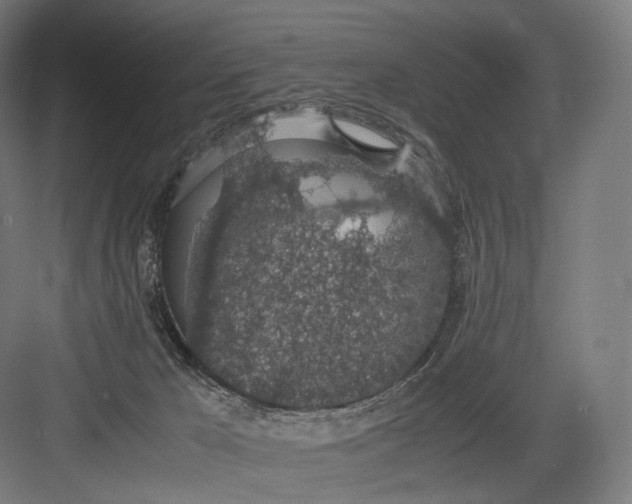 X0000082690029200702161735