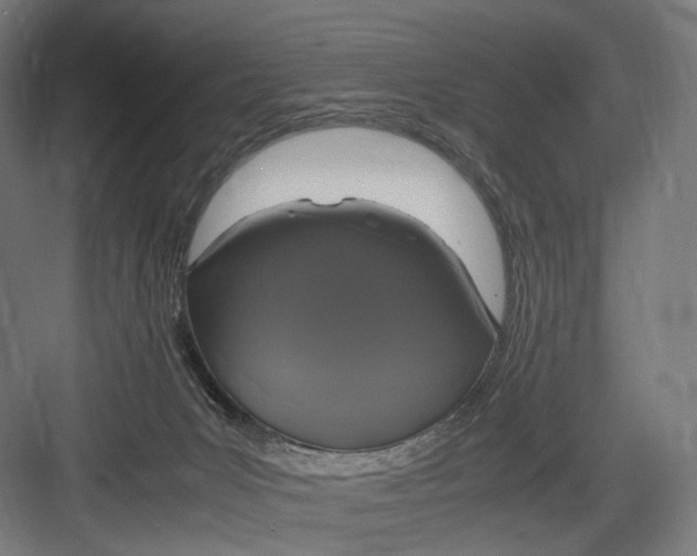 X0000082690031200702161735