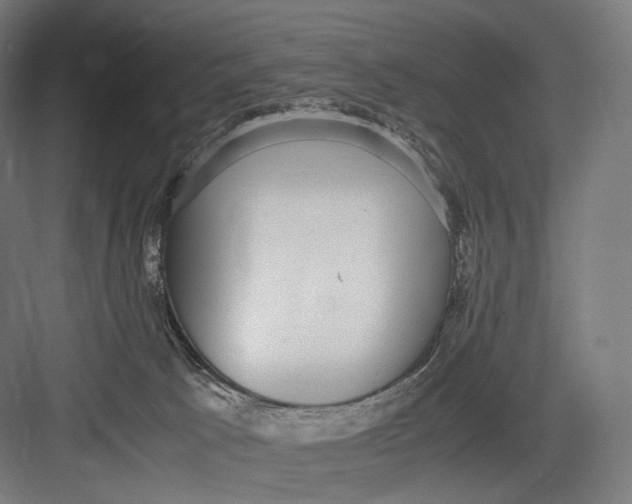 X0000082690033200702161735