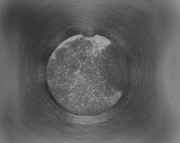 X0000082690034200702161735