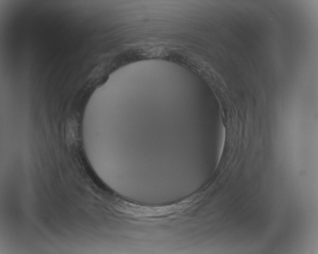 X0000082690035200702161735