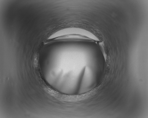 X0000082690037200702161735