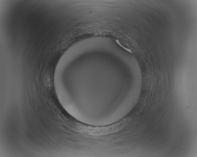 X0000082690039200702161735