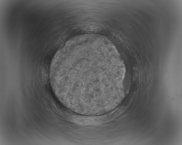 X0000082690040200702161735