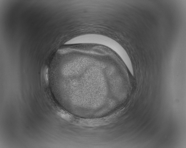 X0000082690041200702161735