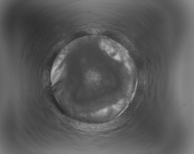 X0000082690043200702161735