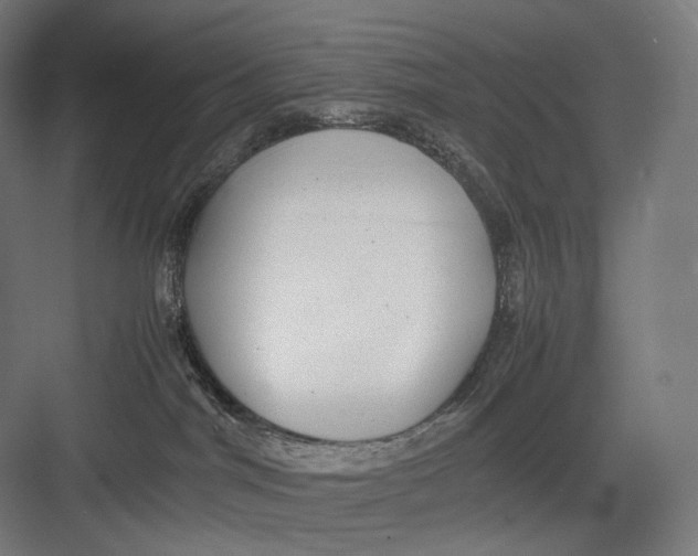 X0000082690044200702161735