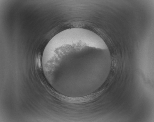 X0000082690046200702161735