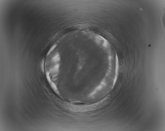 X0000082690047200702161735