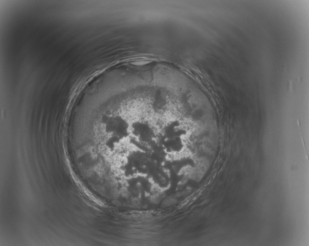 X0000082690049200702161734