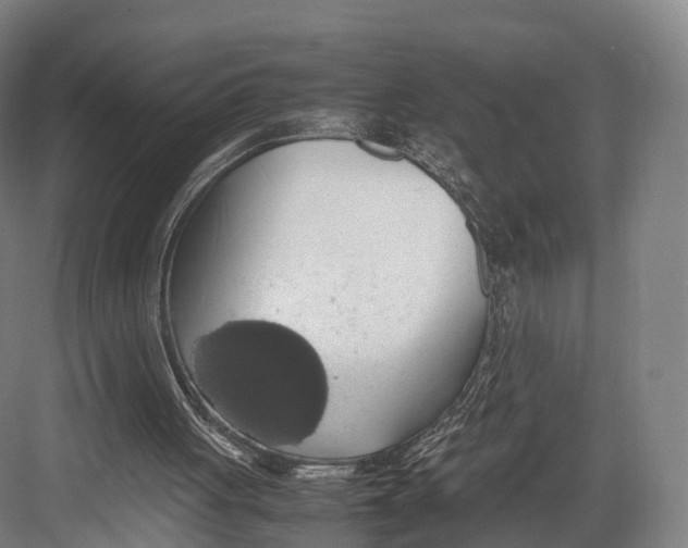 X0000082690051200702161734