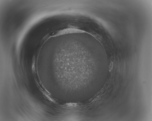 X0000082690052200702161734