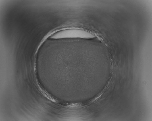 X0000082690056200702161734