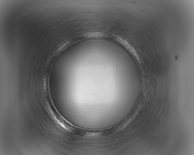 X0000082690057200702161734