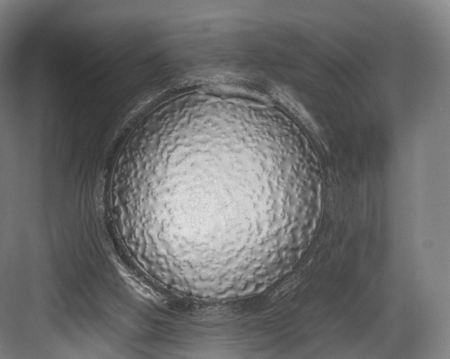 X0000082690058200702161734