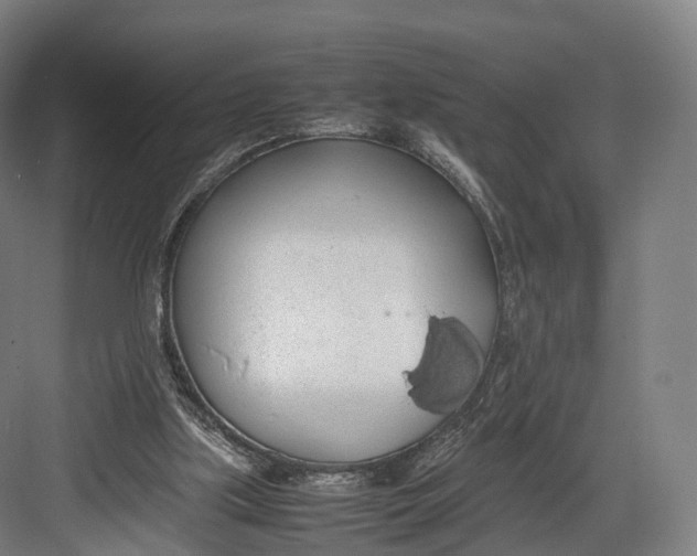 X0000082690059200702161734