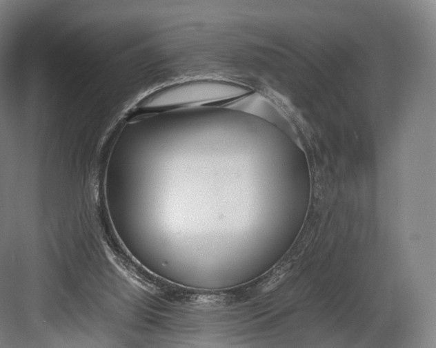 X0000082690060200702161734