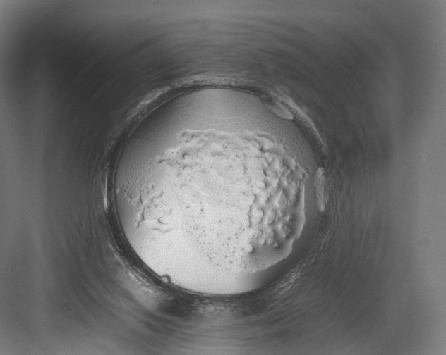 X0000082690062200702161735