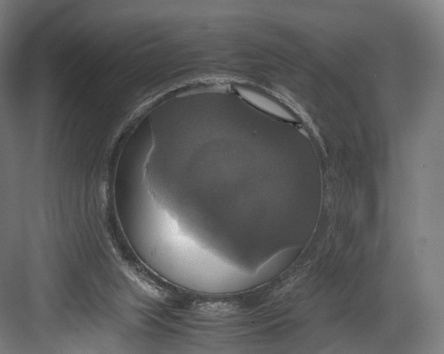 X0000082690063200702161735