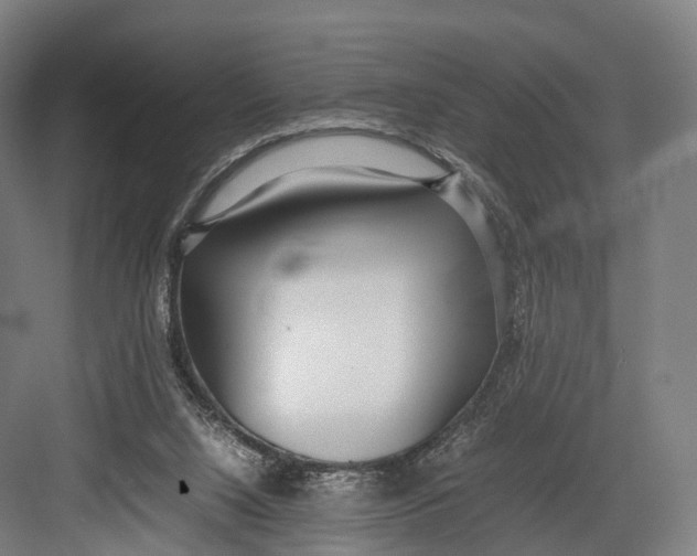 X0000082690064200702161735