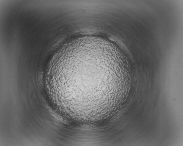 X0000082690066200702161735