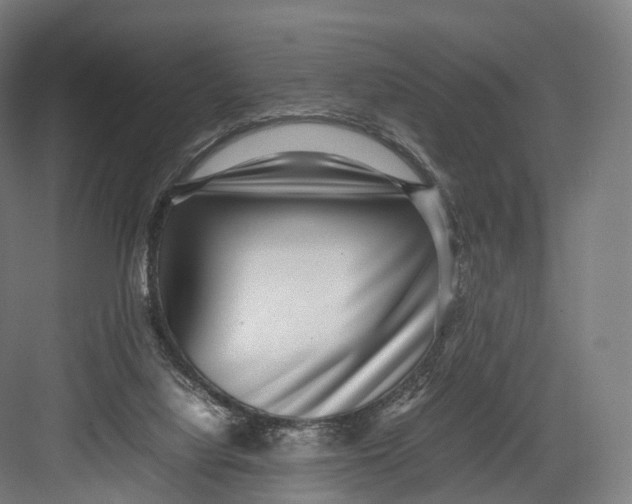 X0000082690068200702161735