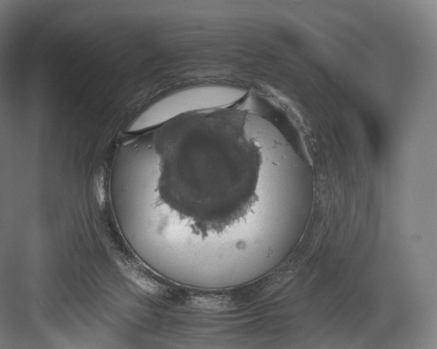 X0000082690069200702161735