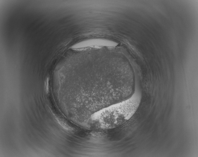 X0000082690070200702161735