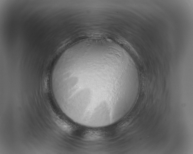 X0000082690071200702161735