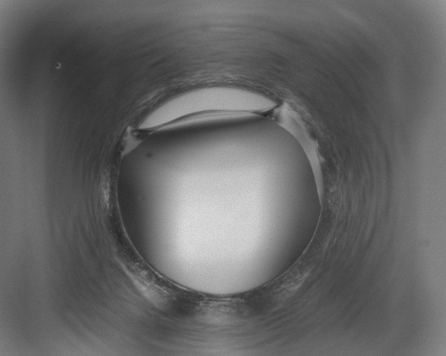 X0000082690072200702161735