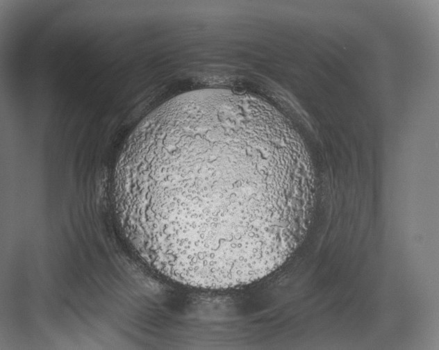 X0000082690073200702161735