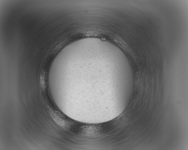 X0000082690074200702161735