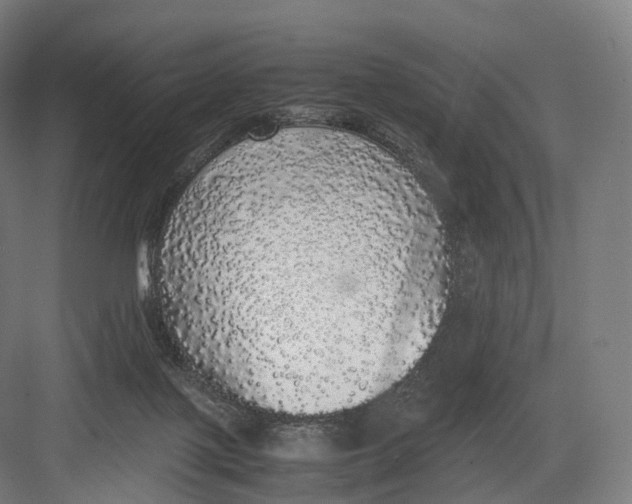 X0000082690075200702161735